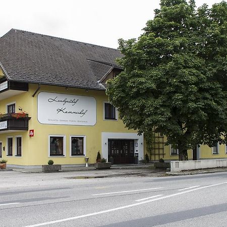 Landgasthof Kammerhof Hofstetten Dış mekan fotoğraf